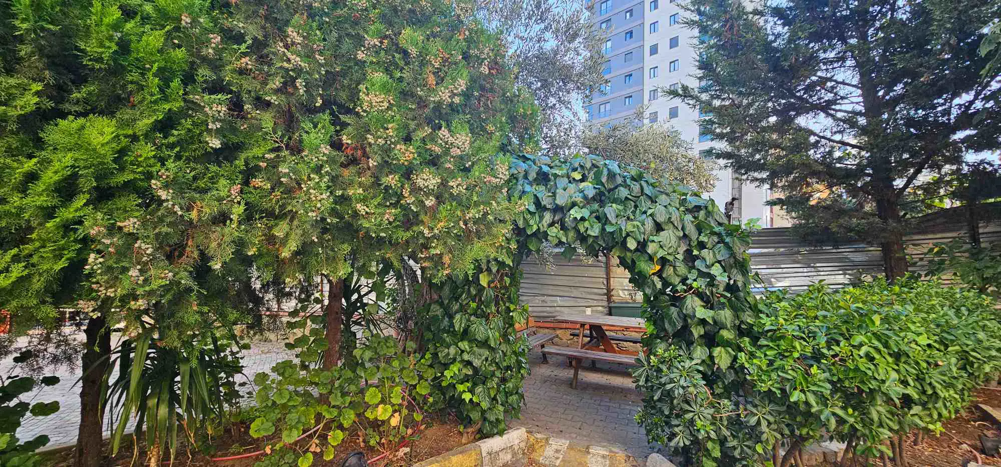 Property image 29