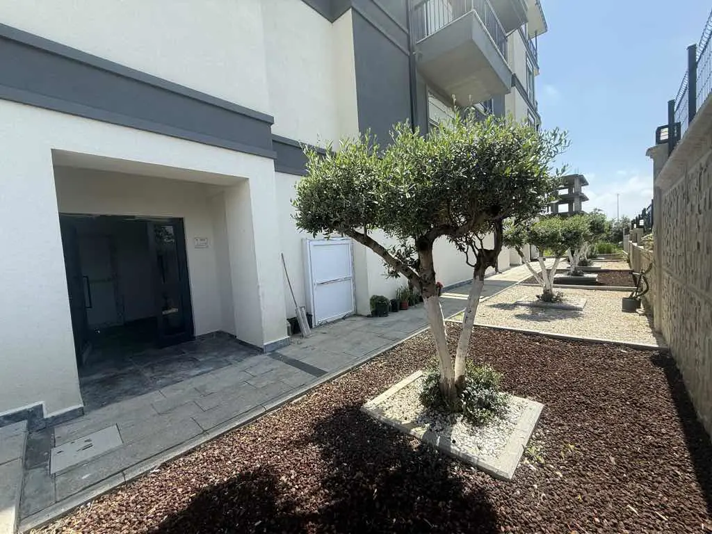 Property image 23