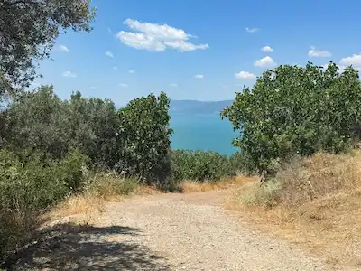 BURSA İZNİK DERBENT’TE MÜSTAKİL PARSEL ZEYTİNLİK | KREDİYE UYGUN