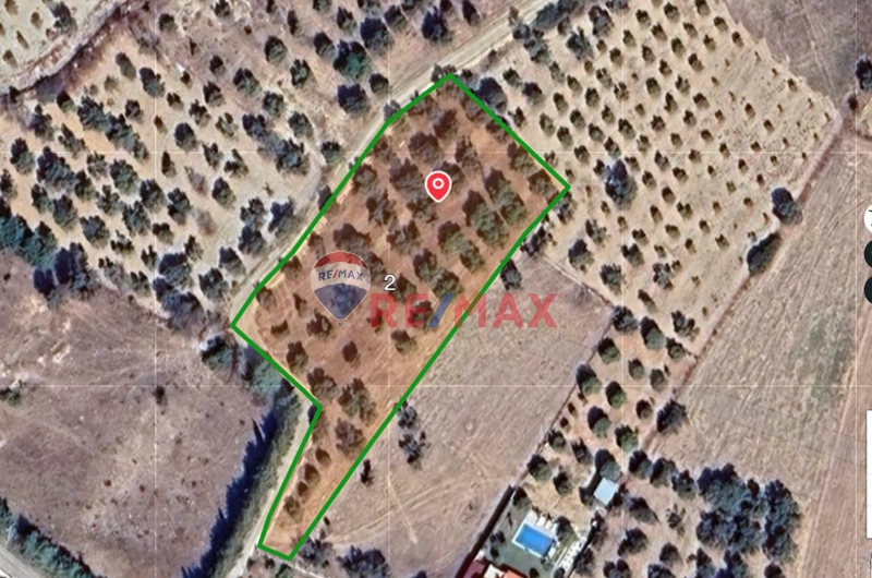 URLA ZEYTİNLER'DE 4262 M2 YOLA CEPHELI SATILIK  ZEYTİN AĞAÇLI TARLA