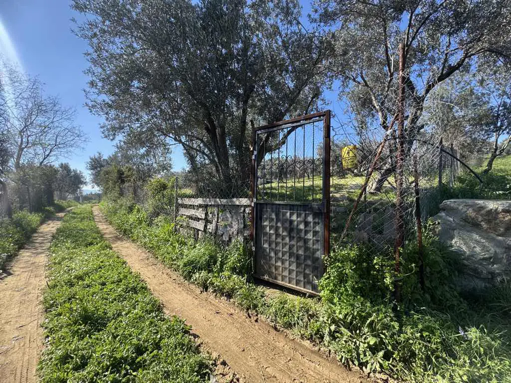Property image 11