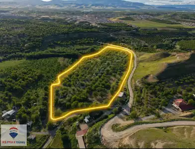 SULTANSUYU ÇAYI ÜZERİNDE 34 DÖNÜM 500 KÖK AĞAÇLI MÜSTAKİL BAHÇE