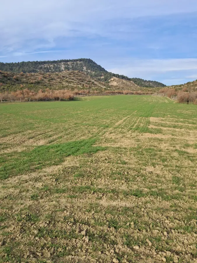 SAKARYA TARAKLI YATIRIMLIK 7.891M2 SATILIK TARLA