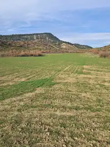 SAKARYA TARAKLI YATIRIMLIK 7.891M2 SATILIK TARLA