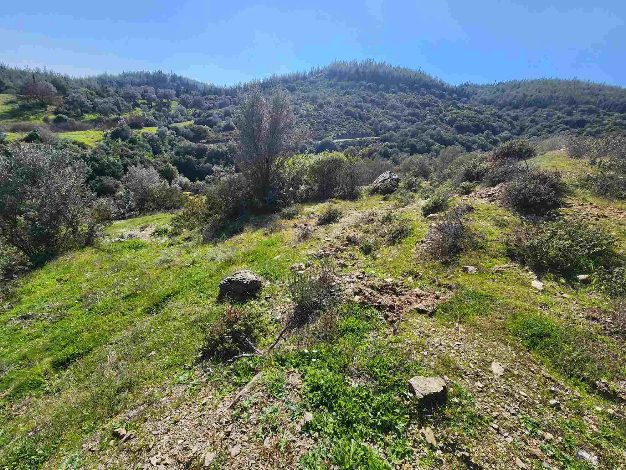 Property image 23