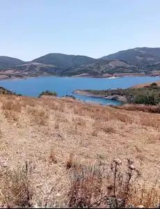 TEKİRDAĞ SÜLEYMANPAŞA  NAİPKÖY MAHALLESİ 48875 M2 YOLA CEPHE SATILIK TARLA