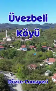 DÜZCE CUMAYERİ SATILIK FINDIK BAHÇESİ