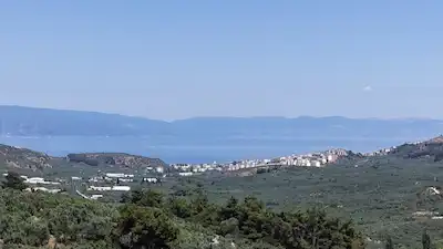REMAX ADVANTAGE MUDANYA IŞIKLIDA DENİZ MANZARALI MÜSTAKİL TARLA