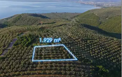 İZNIK AYDINLARDA ZEYTINLIK 1.929 M² YATIRIMLIK TARLA