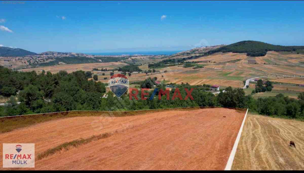 ATAKUM SARAYKÖY'DE SATILIK 9622 M² TARLA
