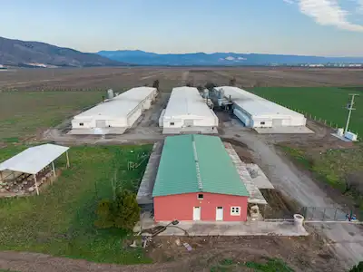 AKHISAR RAHMIYE’DE 49.452 M² ARSA ÜZERINDE 5.392 M² KAPALI ALANLI RUHSATLI SATILIK TAVUK ÇIFTLIĞI