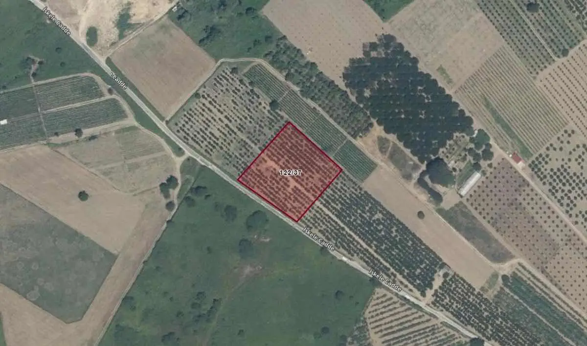 Property image 9