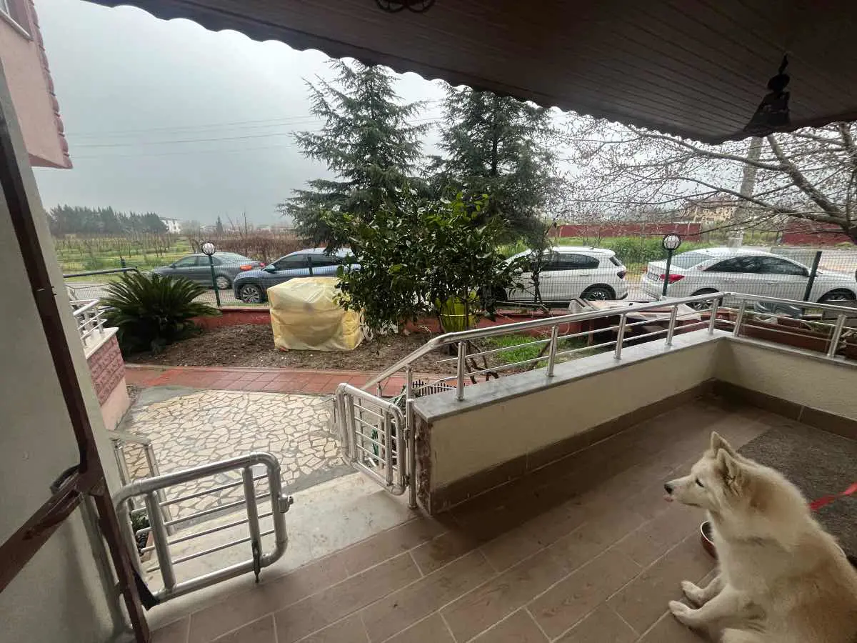 Property image 16
