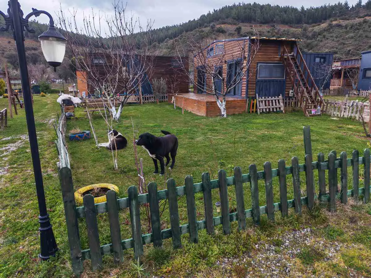Property image 16