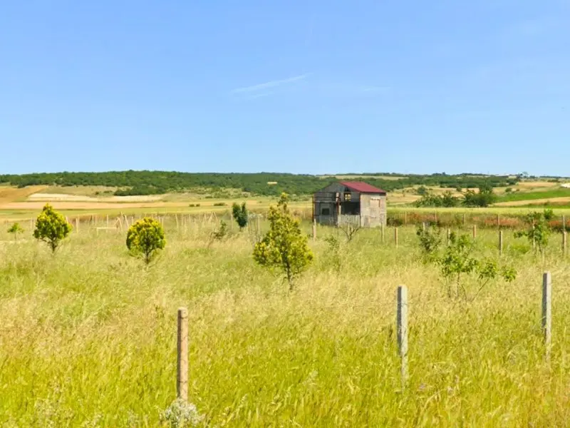 Property image 8