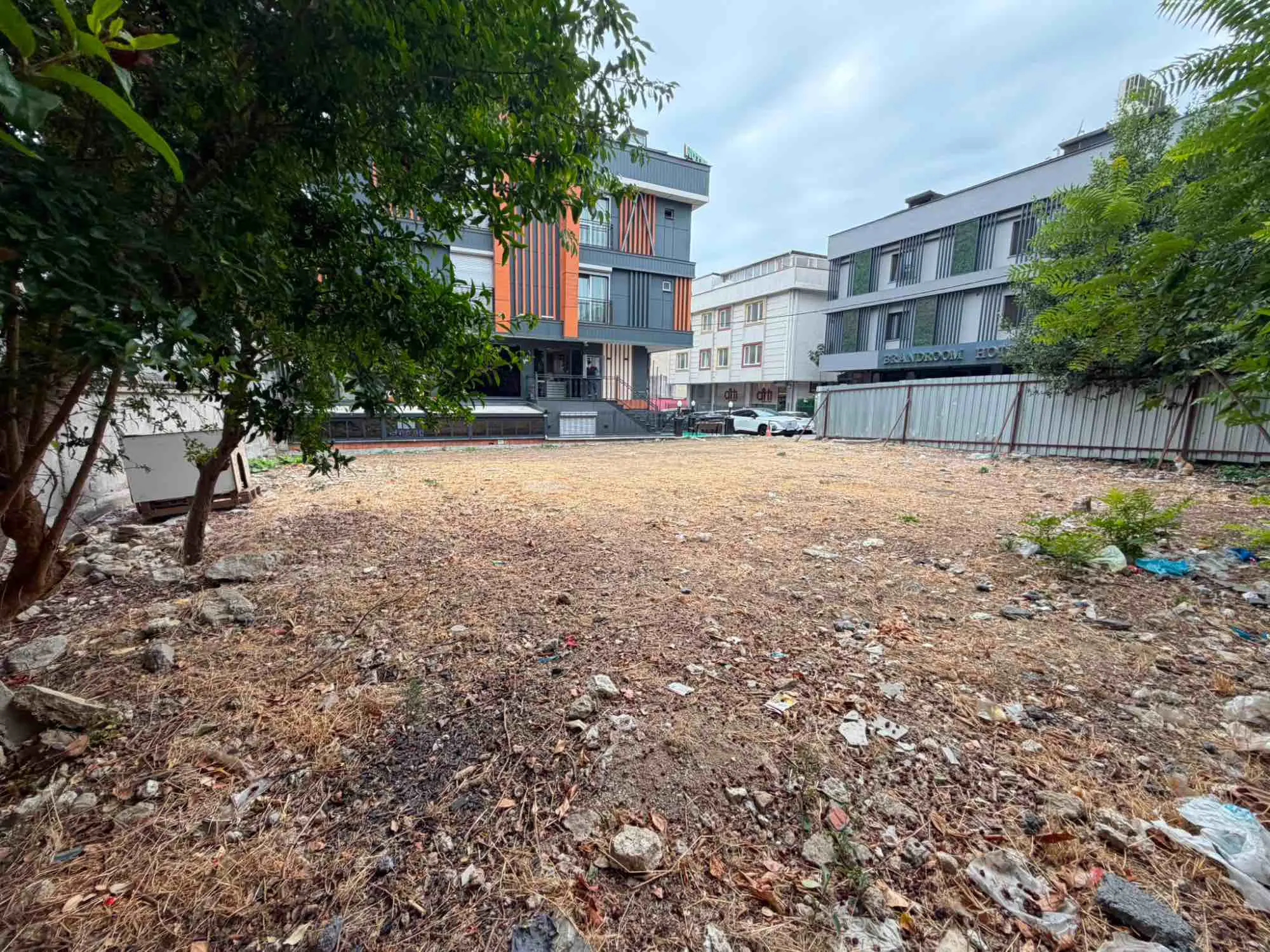 Property image 19