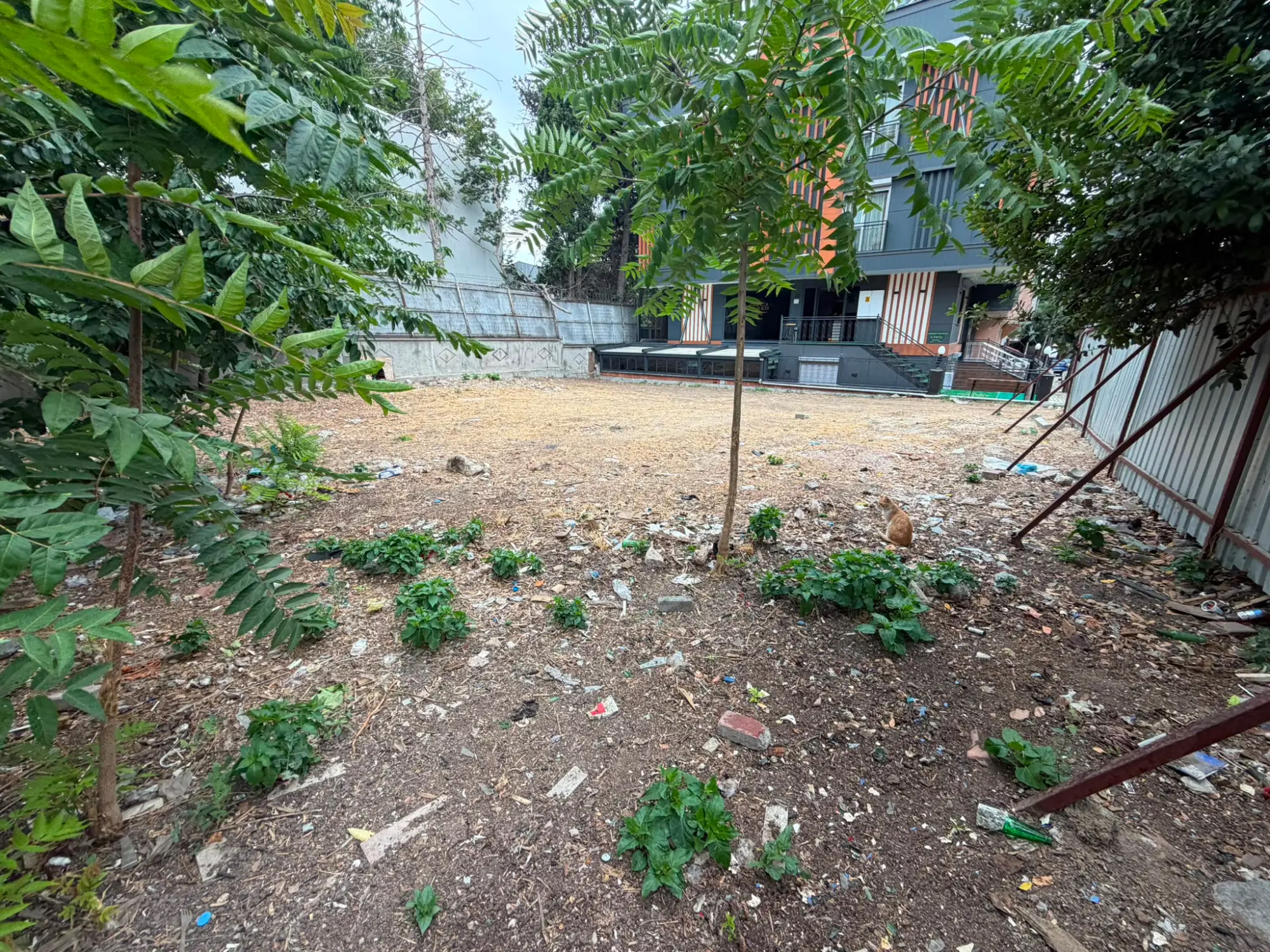 Property image 18