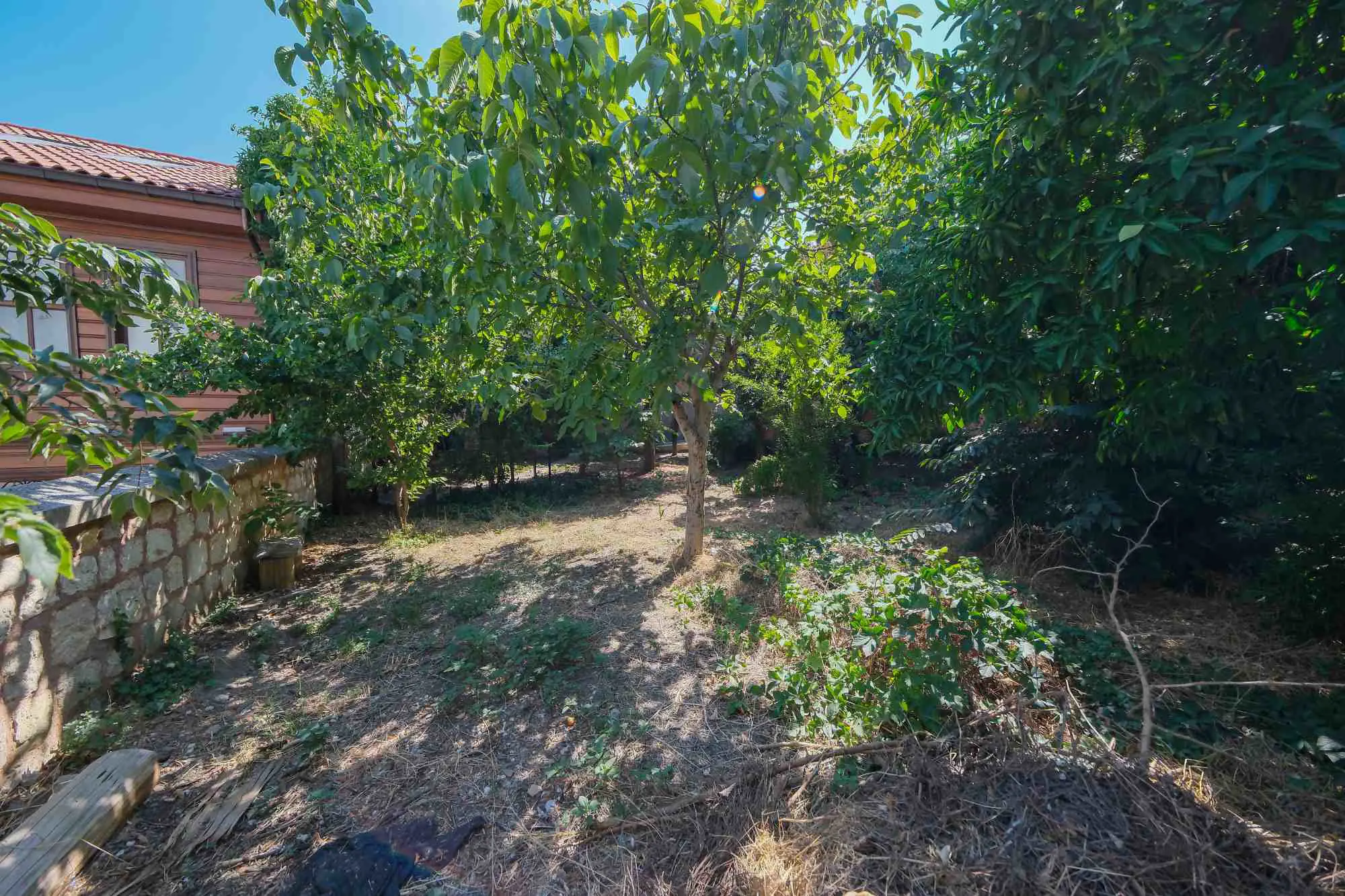 Property image 24