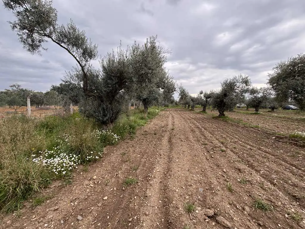 Property image 29
