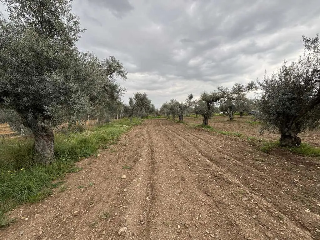 Property image 27
