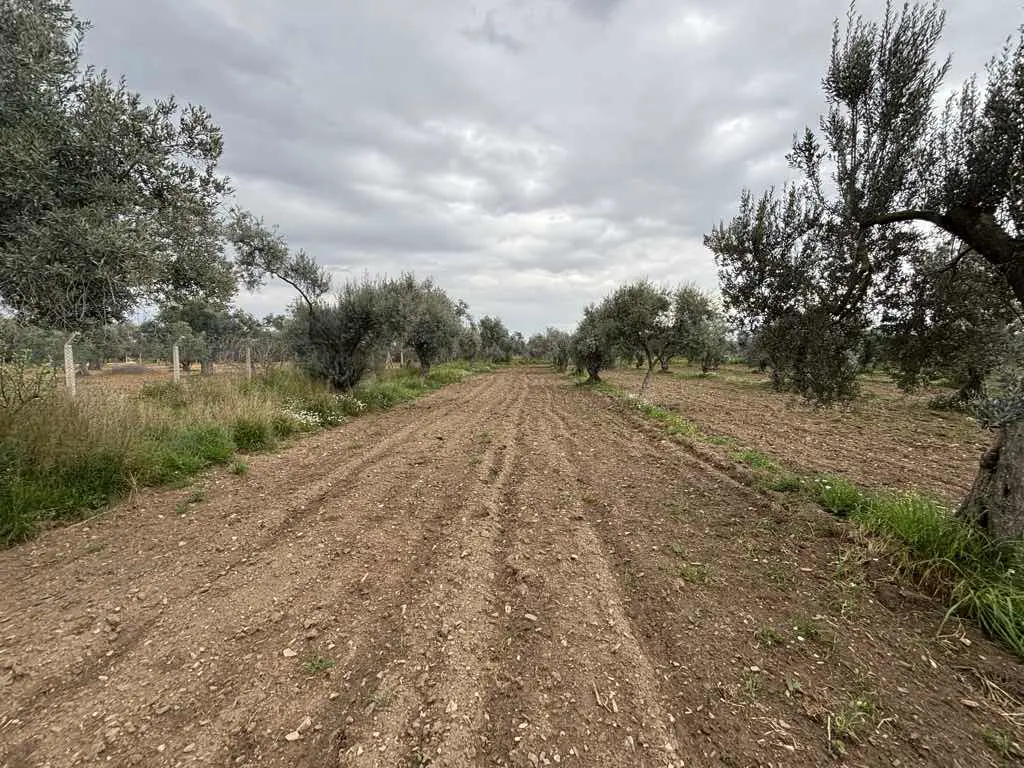 Property image 22