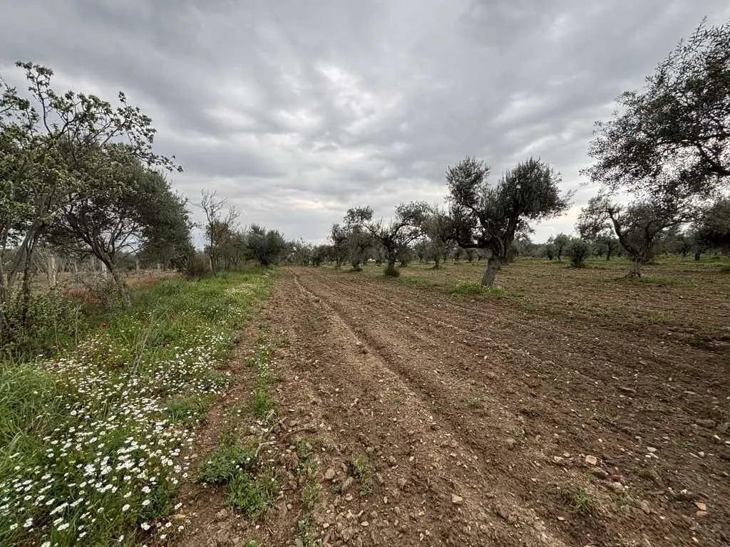 Property image 18
