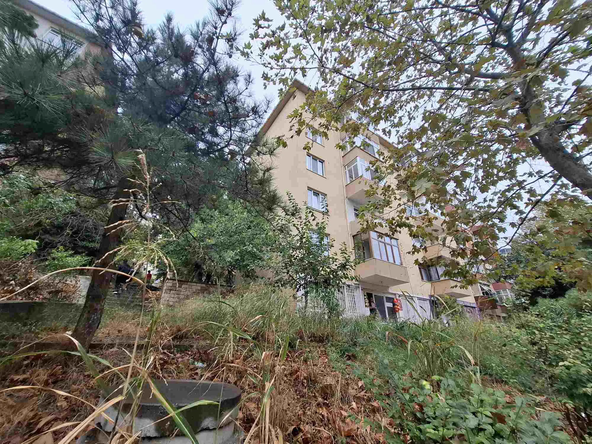 Property image 31