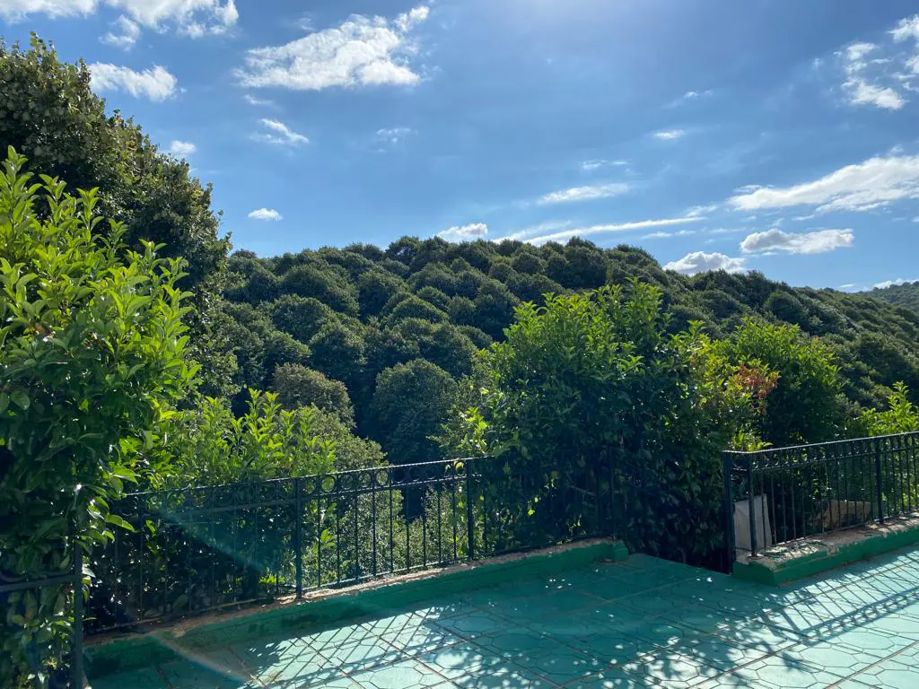 Property image 23