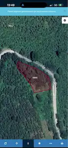 EVCİ GÖKSEKİ TEPESİNDE SATILIK 1117 M2 FINDIK BAHÇESİ