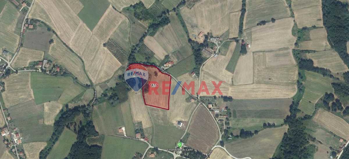 BAFRA'DA 15 DÖNÜM FIRSAT TARLA