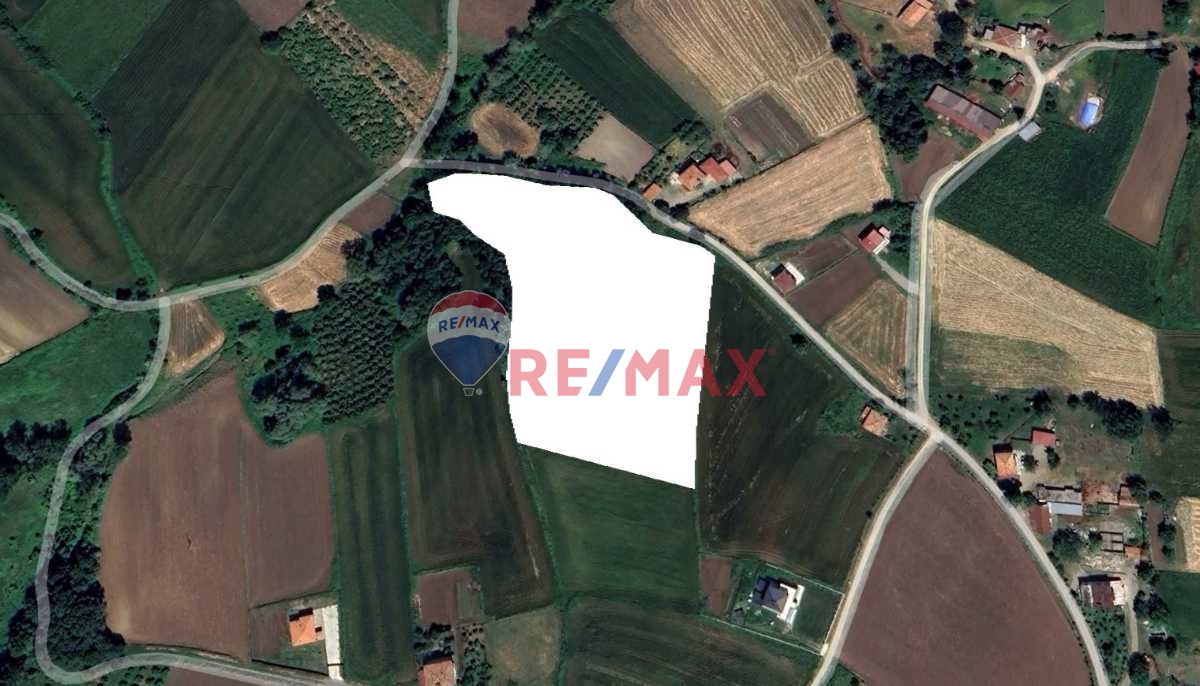 BAFRA'DA 15 DÖNÜM FIRSAT TARLA