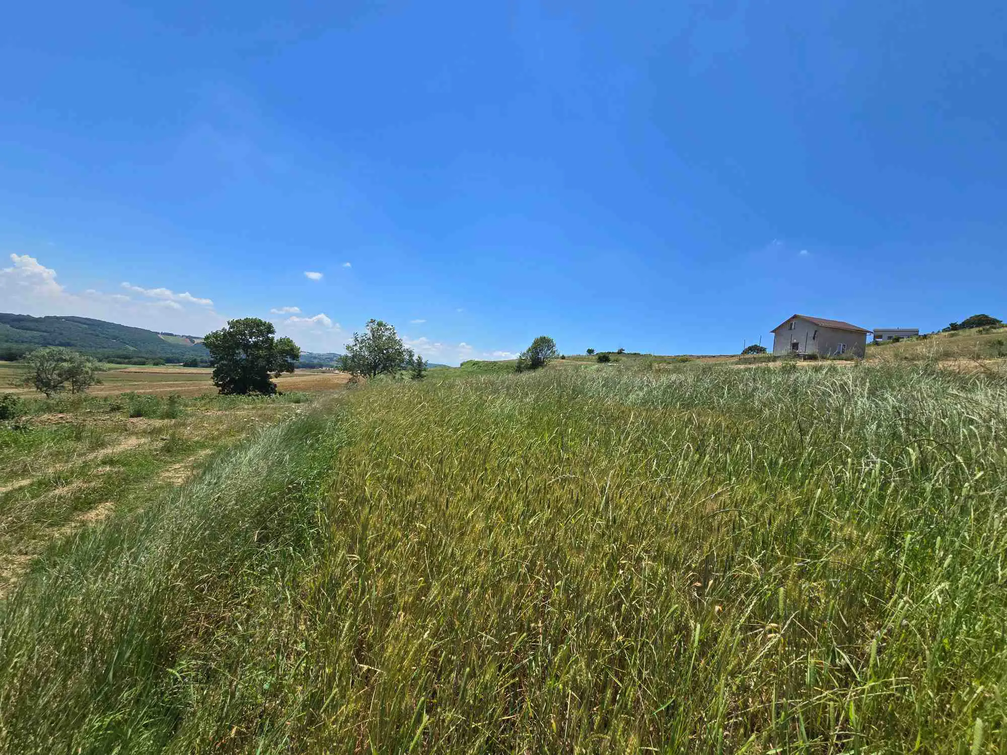 Property image 18