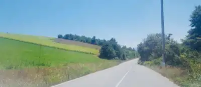 SÖĞÜTLÜ SIRAKÖY 30.150M² ASFALT CEPHELİ MÜSTAKİL PARSEL TARLA