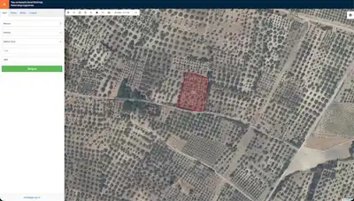 MANİSA AKHİSAR BALLICA'DA 2850M2 ZEYTINLIK