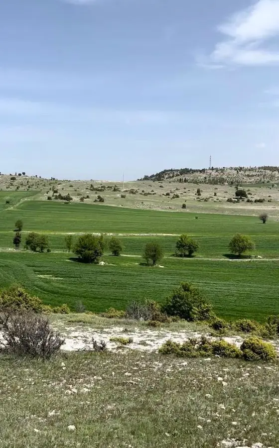 KÜTAHYA TAVŞANLI ÇOBANKÖY'DE OSB GENIŞLEME AKSINDA SATILIK ARAZI