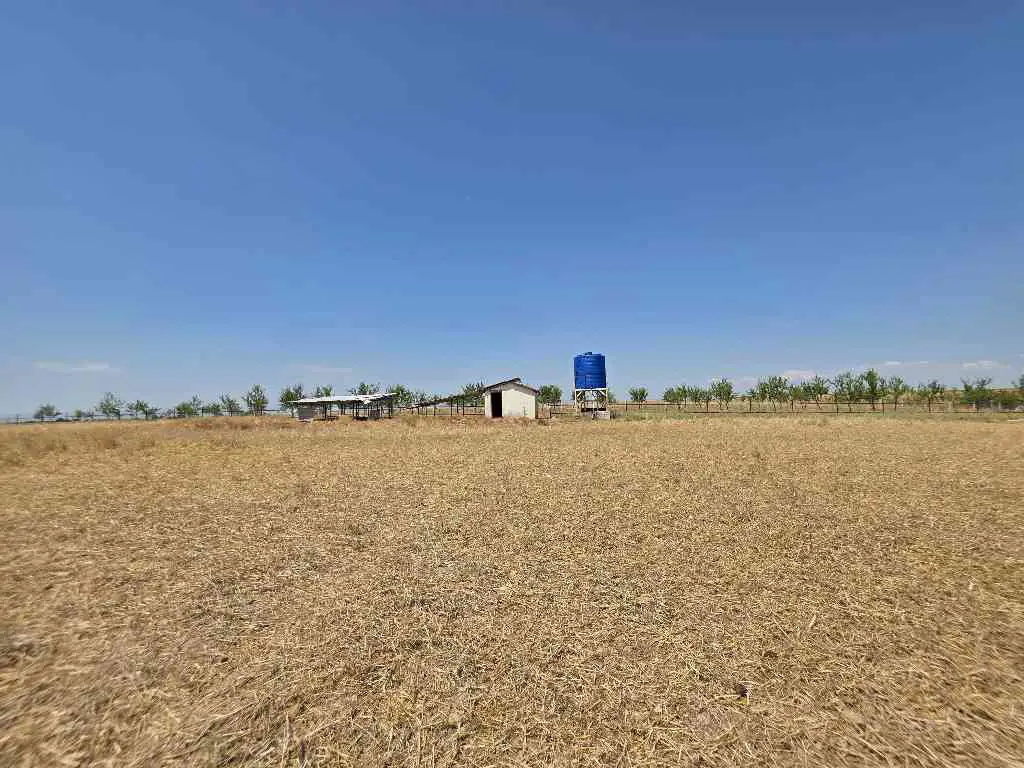 15340 M2 BÜYÜKBAŞ BESİ ÇİFTLİĞİ HAYVANCILIK TESİSİ
KIRKLARELİ İNECE 2