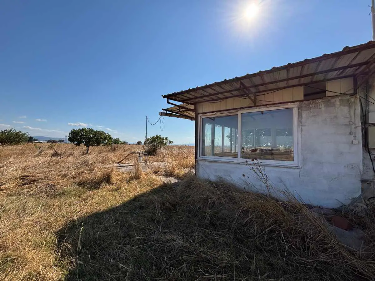 Property image 16