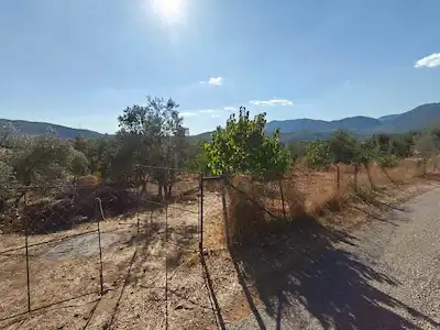 FETHIYE YEŞILÜZÜMLÜ MEVKIINDE KIRALIK 2.920 M² ARAZI
