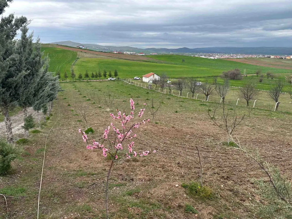 ÇUBUK GÖKÇEDERE 'DE 8089 M2 TEK TAPULU SATILIK TARLA