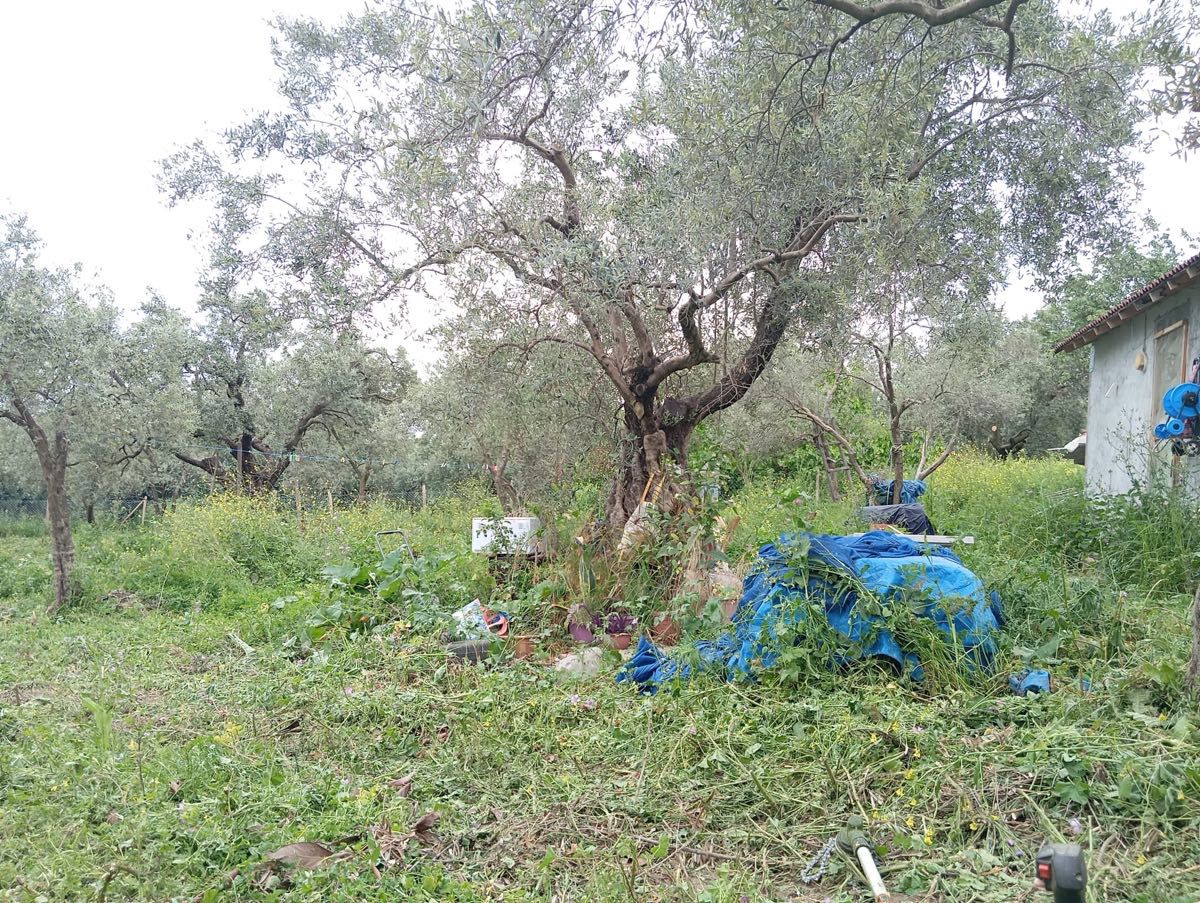 BURSA ORHANGAZİ KERAMET KÖYÜNDE SATILIK ARSA