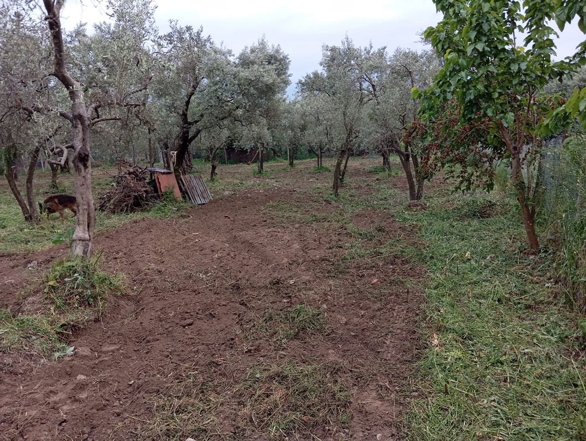 BURSA ORHANGAZİ KERAMET KÖYÜNDE SATILIK ARSA