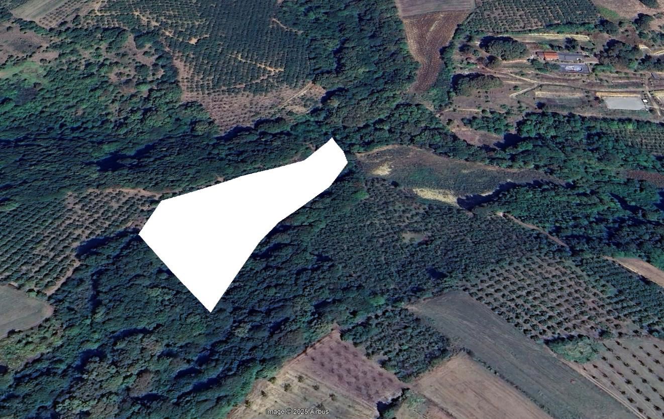 REMAX ÇARŞI'DAN SERDİVANDA SATILIK TARLA