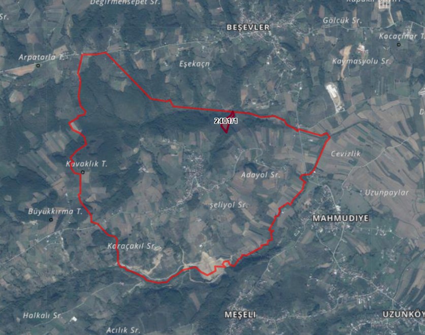 REMAX ÇARŞI'DAN SERDİVANDA SATILIK TARLA