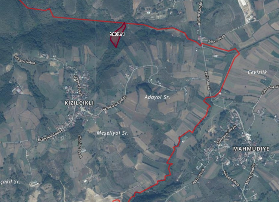 REMAX ÇARŞI'DAN SERDİVANDA SATILIK TARLA