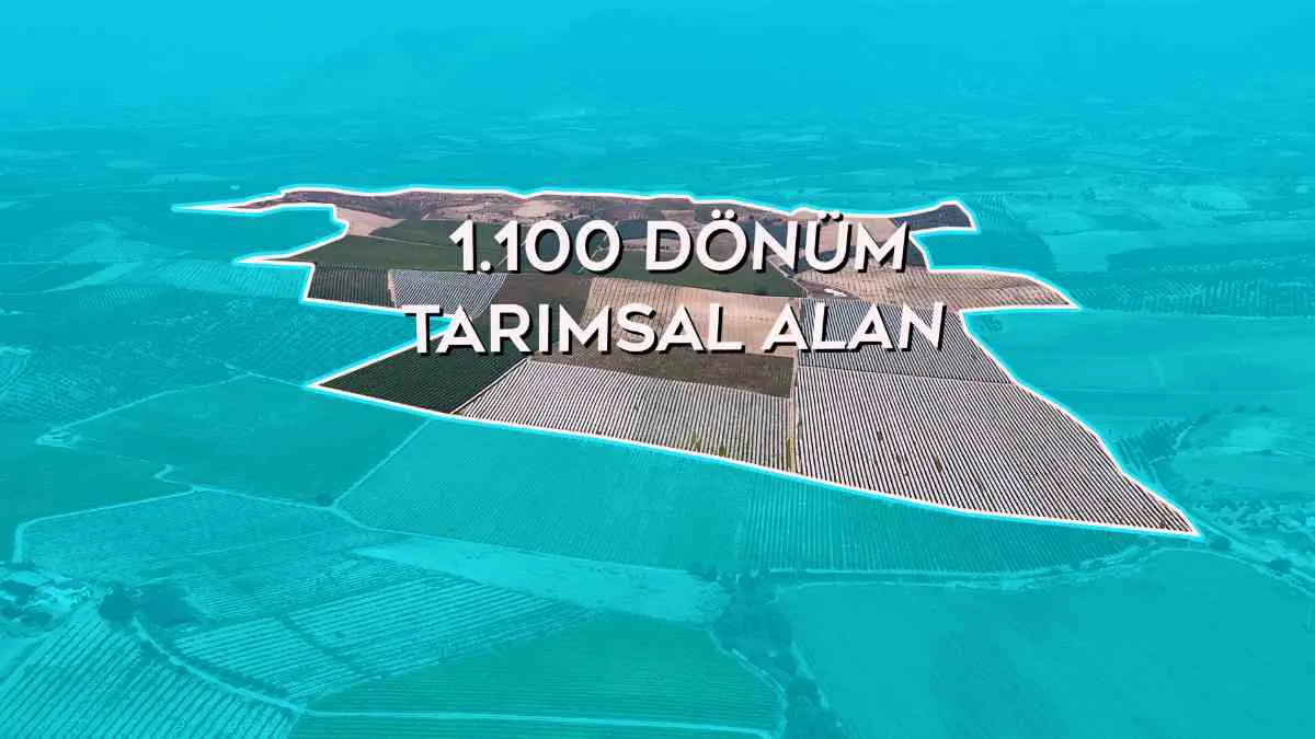 MANISA[ SALIHLI`DE 1.100 DÖNÜM TARIMSAL ALAN..