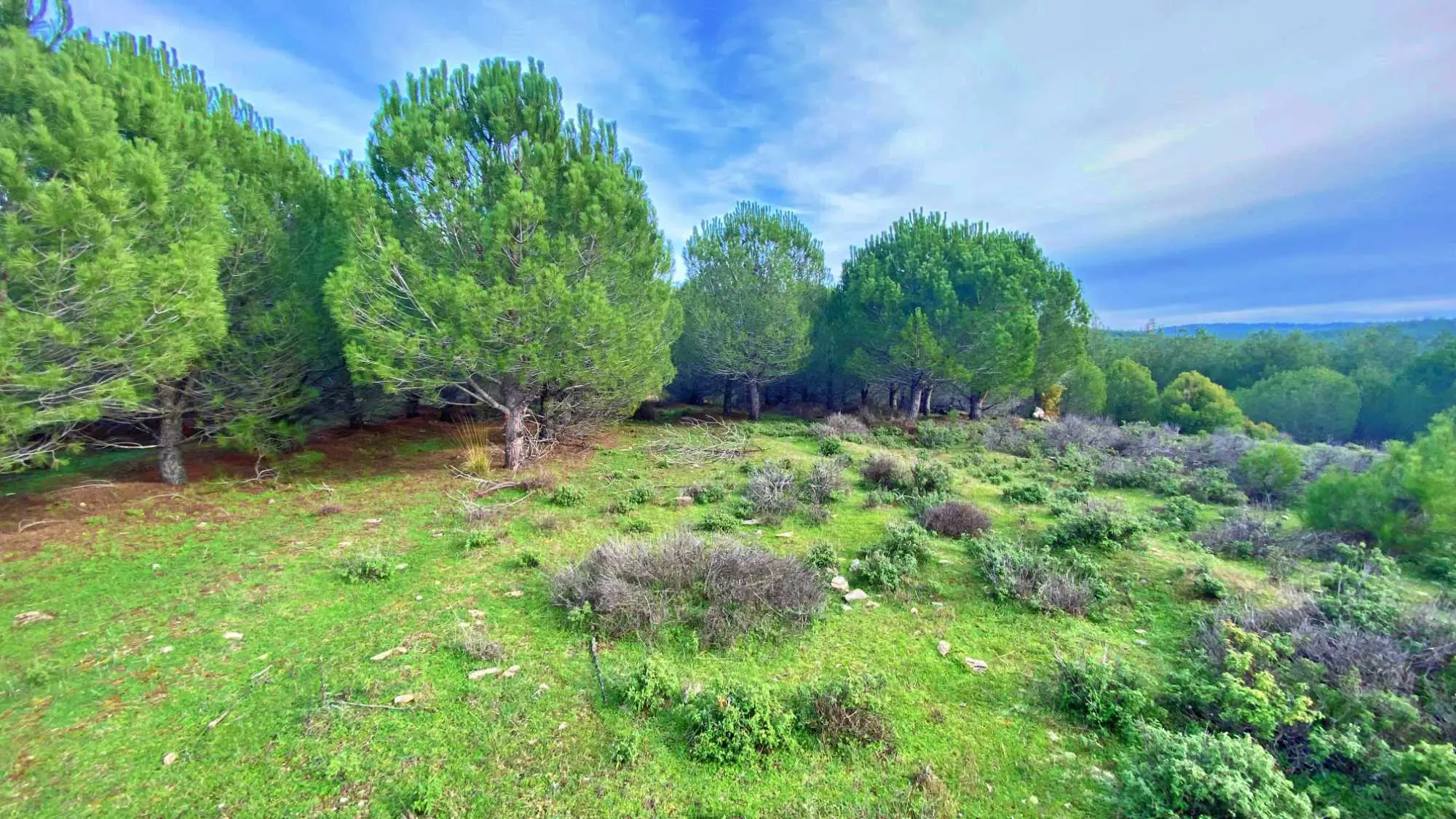 Property image 18