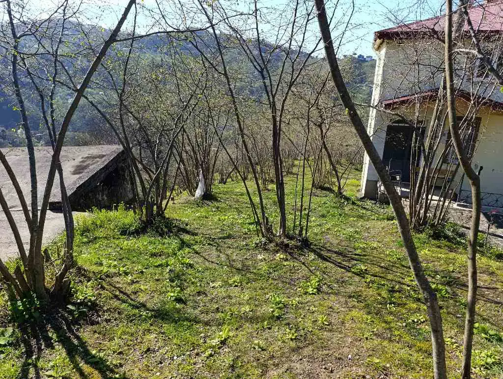 ARSİN ELMAALAN'DA SAHİLE YAKIN DENİZ MANZARALI 2093MT.ARSA