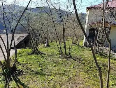 ARSİN ELMAALAN'DA SAHİLE YAKIN DENİZ MANZARALI 2093MT.ARSA
