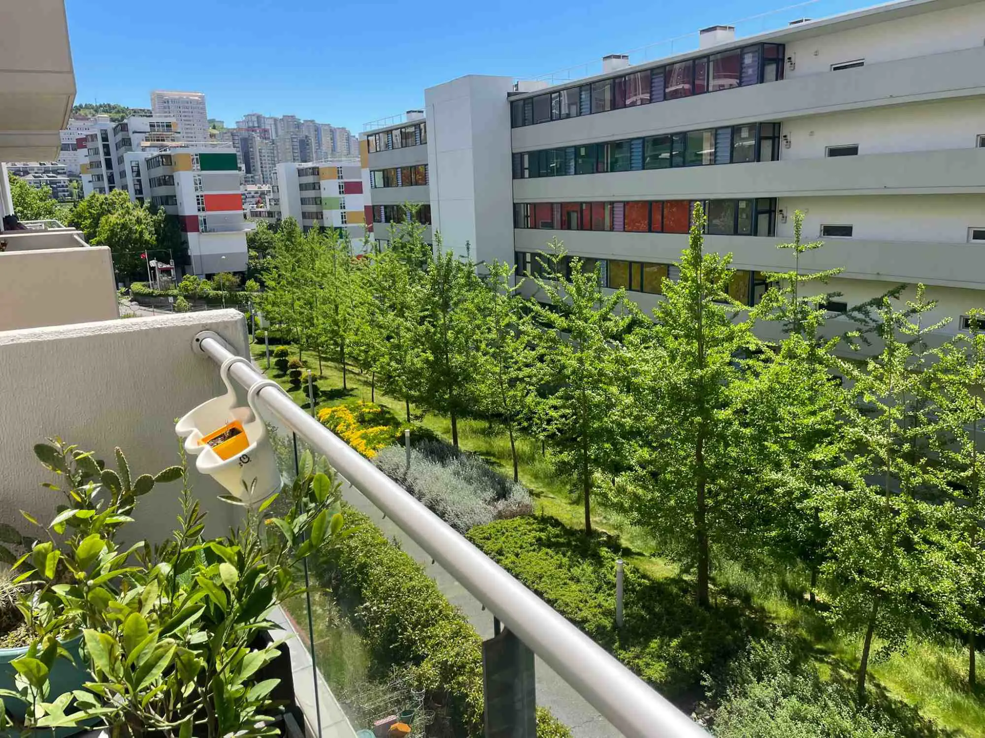 Property image 24