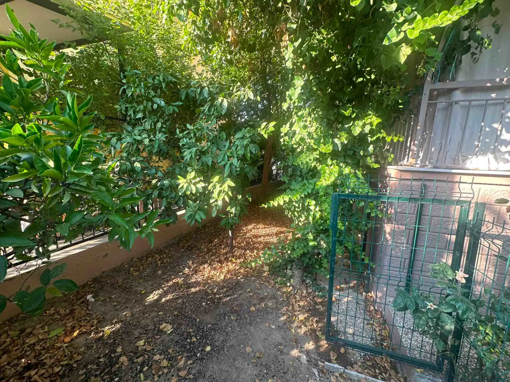 Property image 8
